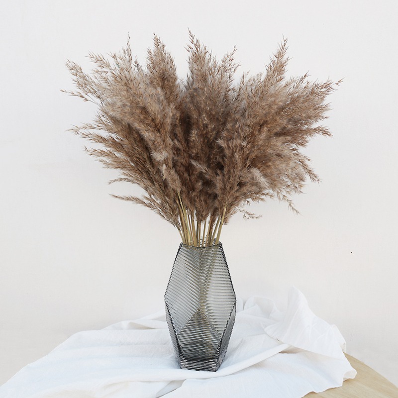Pampas Grass Decor - 10Pcs Colorful Natural Reeds Pampas Grass