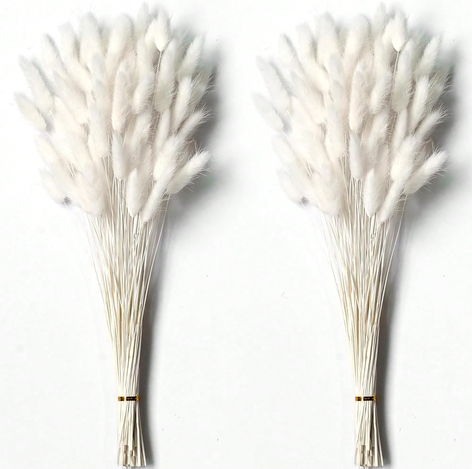 Pampas Grass Decor - 120 PCS Dried Pampas Grass Decor