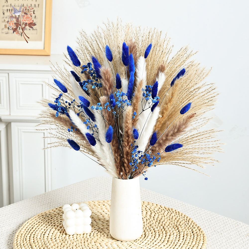 70 Stem Blue Fluffly Rabbit Ta - Pampas Grass Decor ulasan dan harga