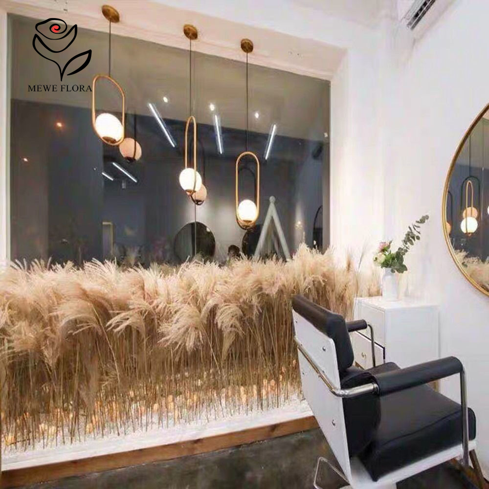 200PCS Natural Dried Fluffy Re - Pampas Grass Decor ulasan dan harga