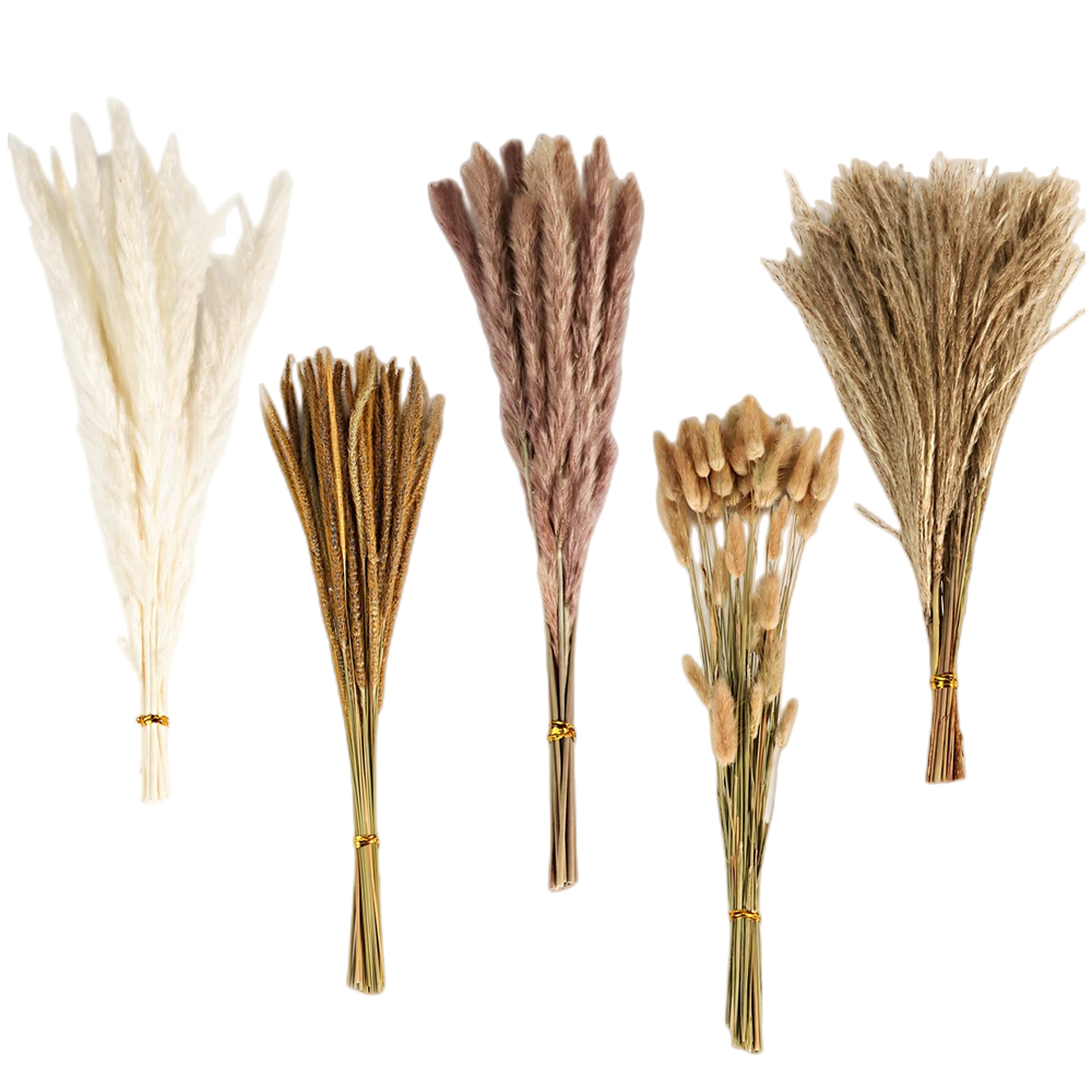 Autumn Vintage Mixed Dried Flo - Pampas Grass Decor ulasan dan harga