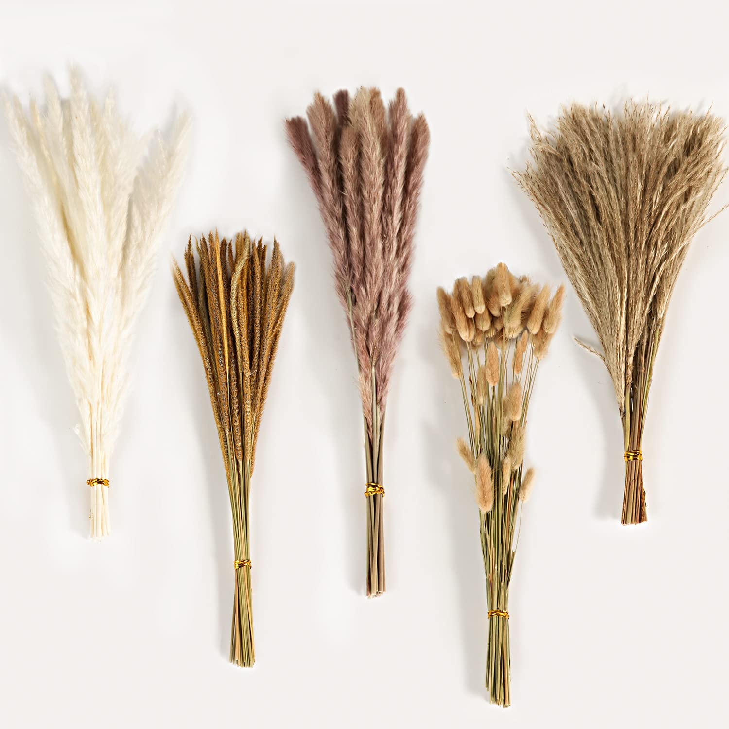 Autumn Vintage Mixed Dried Flo - Pampas Grass Decor ulasan dan harga