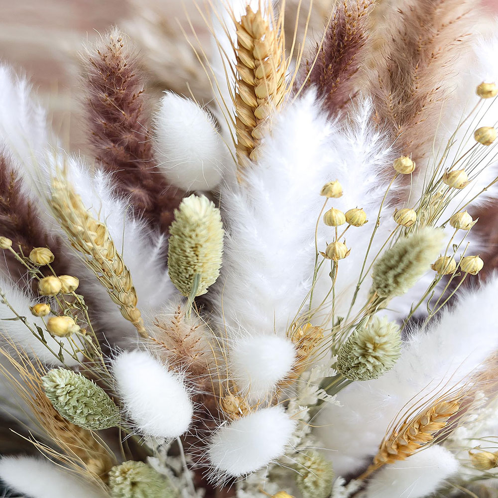100pcs Dried Pampas Grass Bouq - Pampas Grass Decor ulasan dan harga