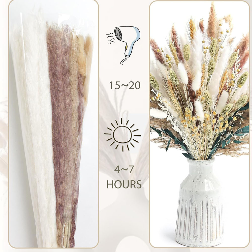 100pcs Dried Pampas Grass Bouq - Pampas Grass Decor ulasan dan harga