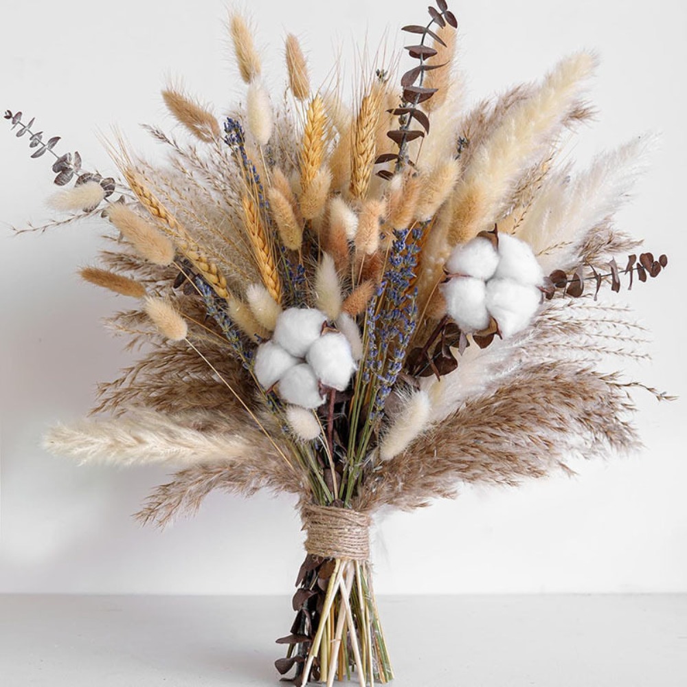 80Pieces Natural Dried Flowers - Pampas Grass Decor ulasan dan harga