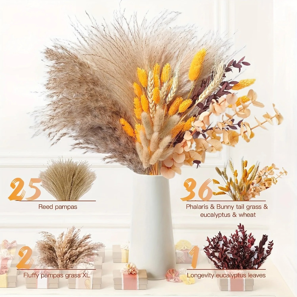 80Pieces Natural Dried Flowers - Pampas Grass Decor ulasan dan harga