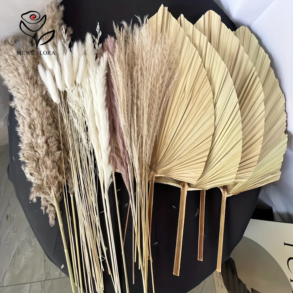 35Pcs Natural Pampas Grass Boh - Pampas Grass Decor ulasan dan harga