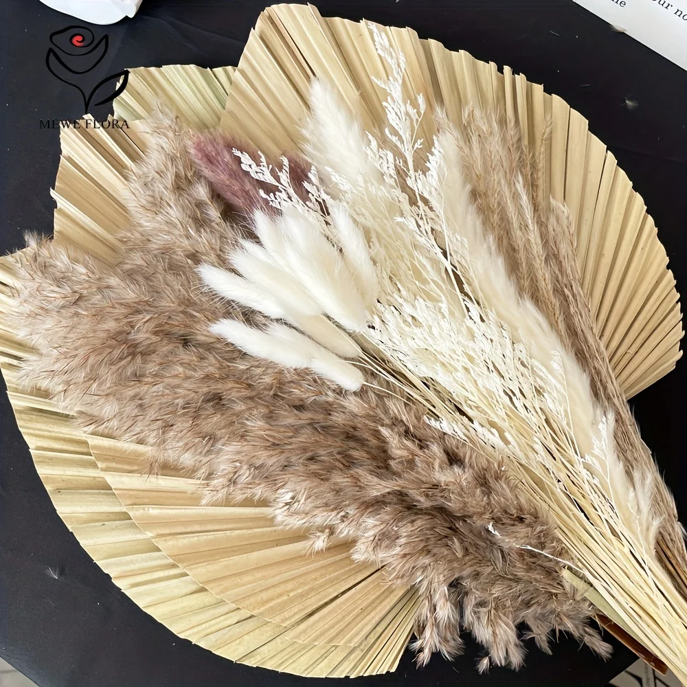35Pcs Natural Pampas Grass Boh - Pampas Grass Decor ulasan dan harga