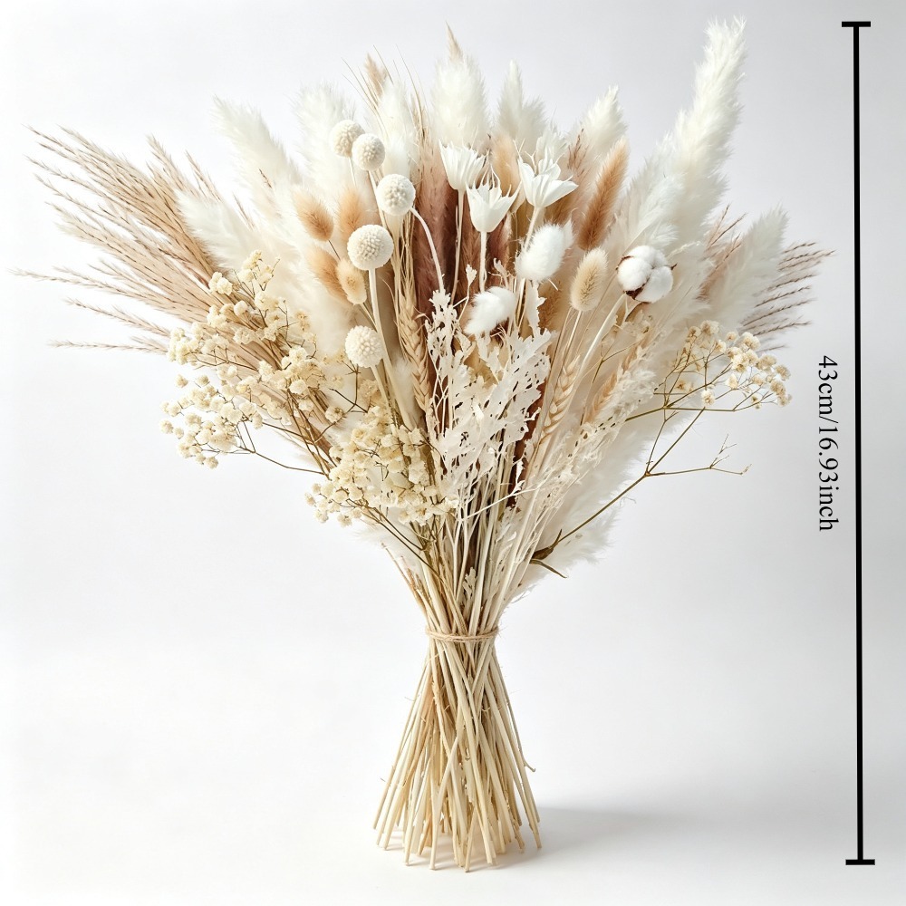 Natural Dried Pampas Grass Bou - Pampas Grass Decor ulasan dan harga