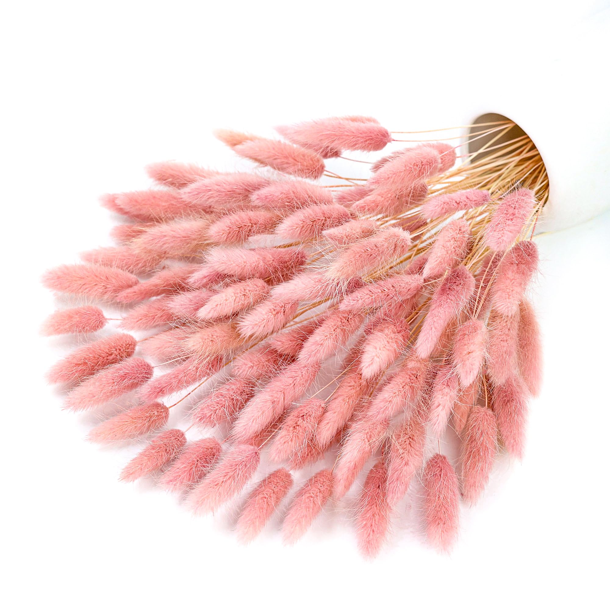 120 Stem Pink Dried Pampas Bun - Pampas Grass Decor ulasan dan harga