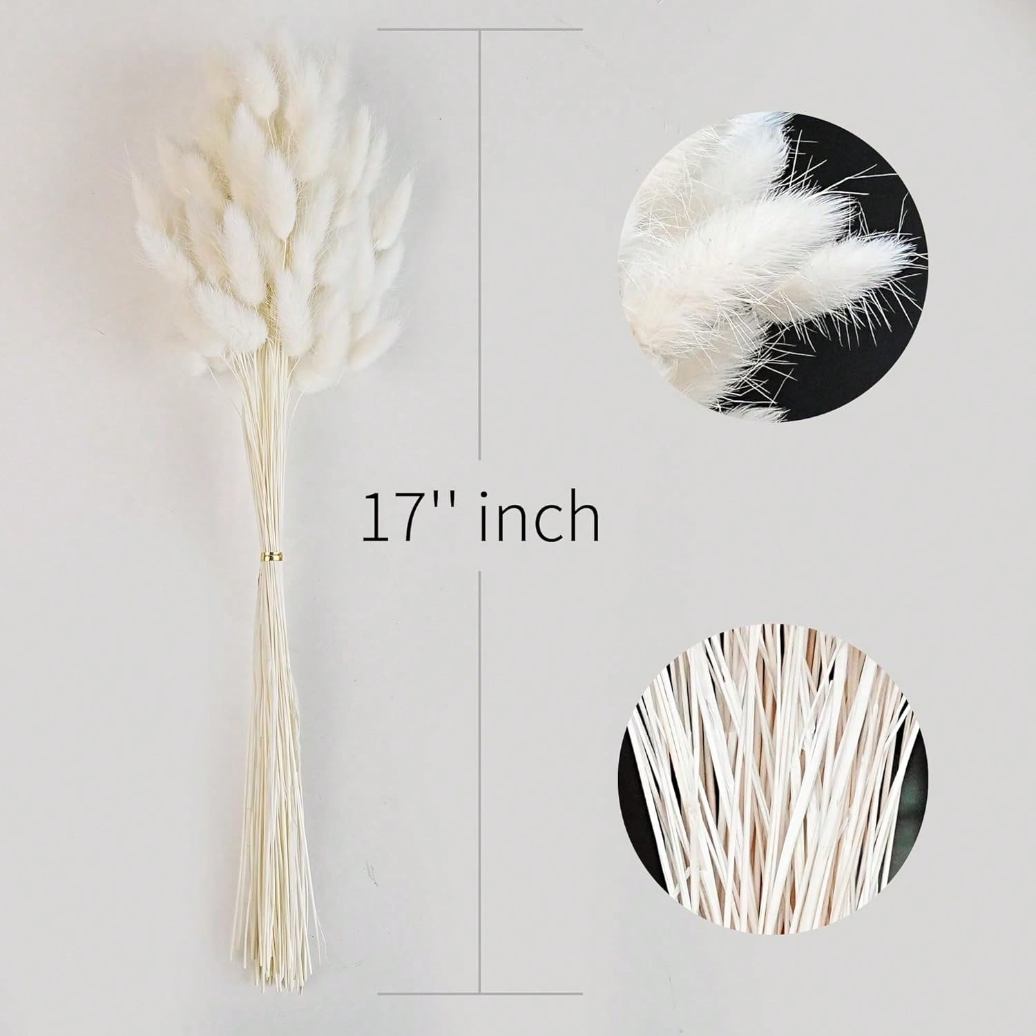 120 PCS Dried Pampas Grass Dec - Pampas Grass Decor ulasan dan harga