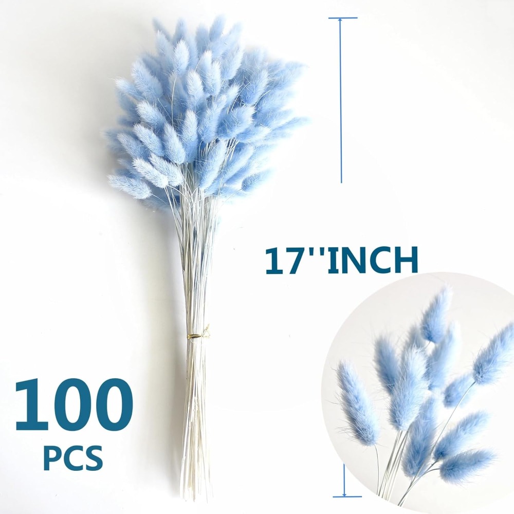 100PCS Blue Hare's-tail Grass  - Pampas Grass Decor ulasan dan harga