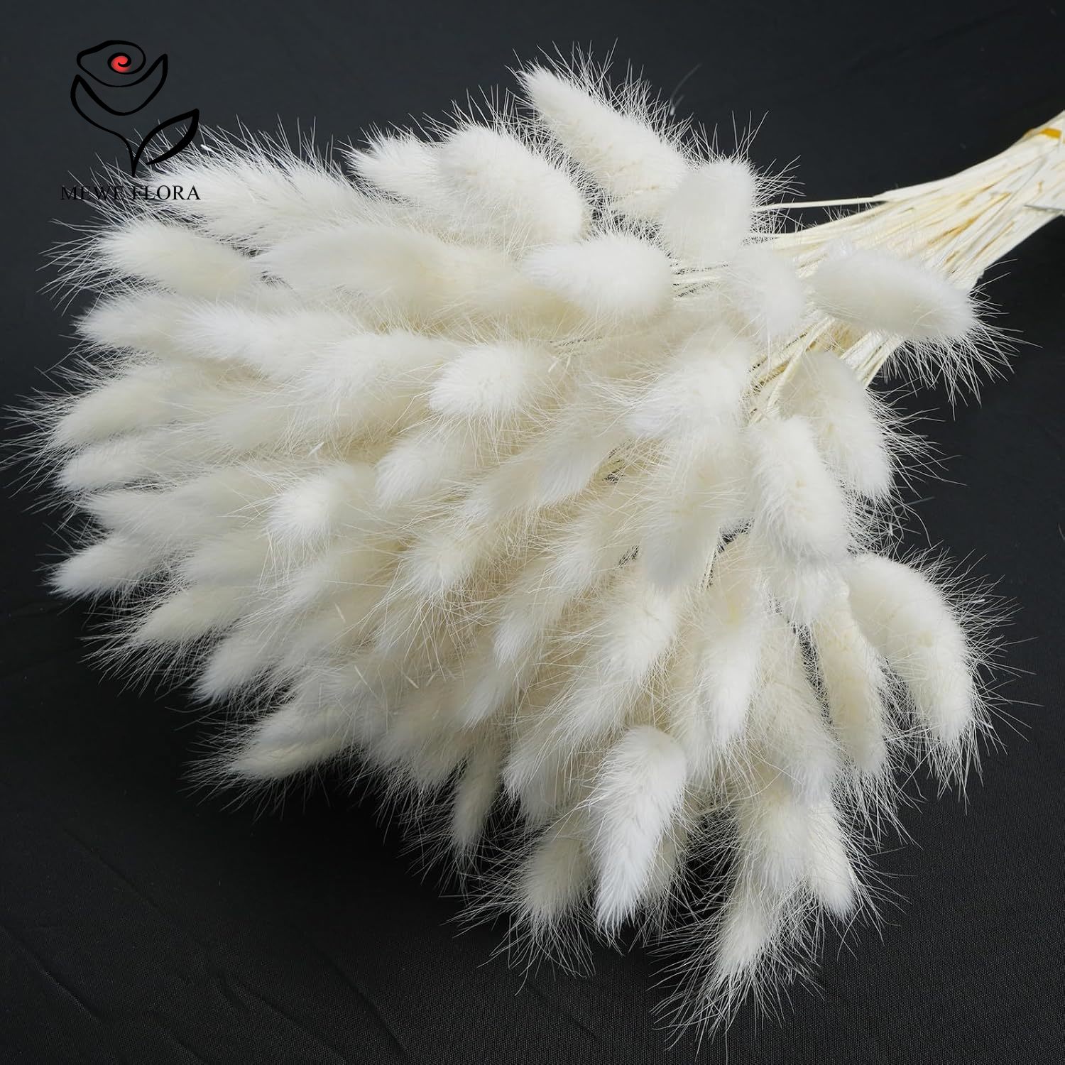 150PCS White Natural Fluffy Ra - Pampas Grass Decor ulasan dan harga