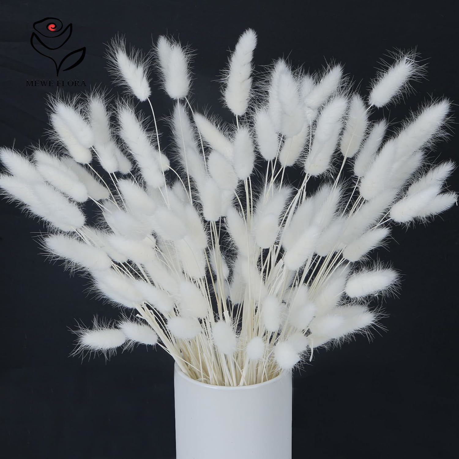 150PCS White Natural Fluffy Ra - Pampas Grass Decor ulasan dan harga