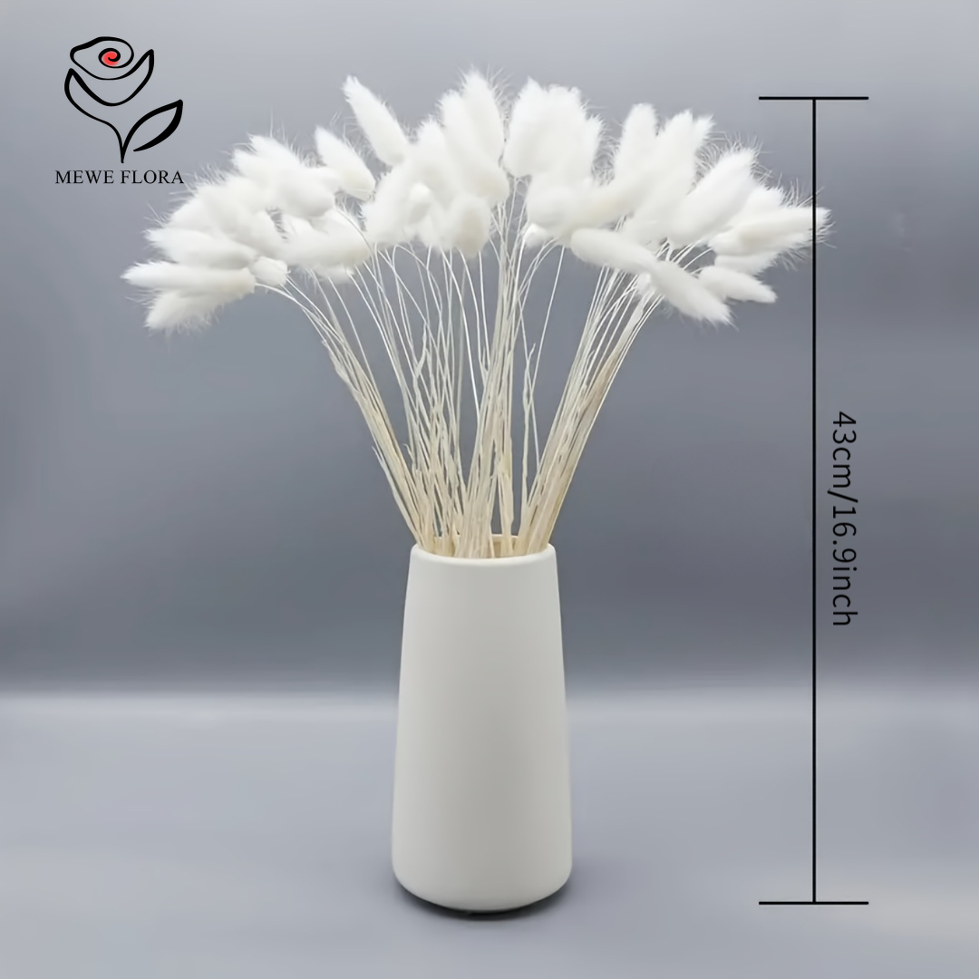 150PCS White Natural Fluffy Ra - Pampas Grass Decor ulasan dan harga